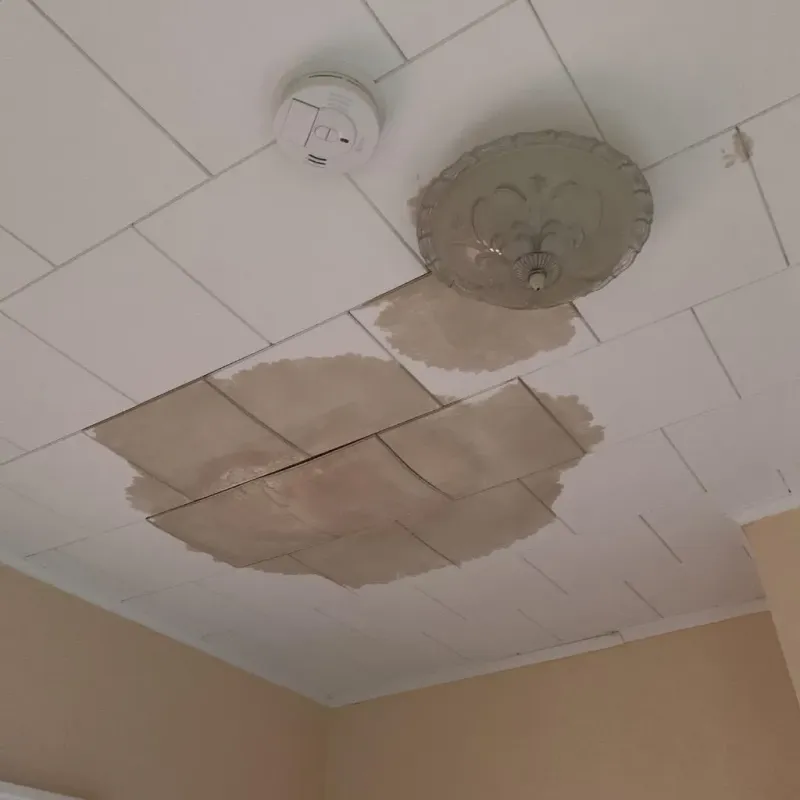 Ceiling Water Damage Repair in Palmyra, ME