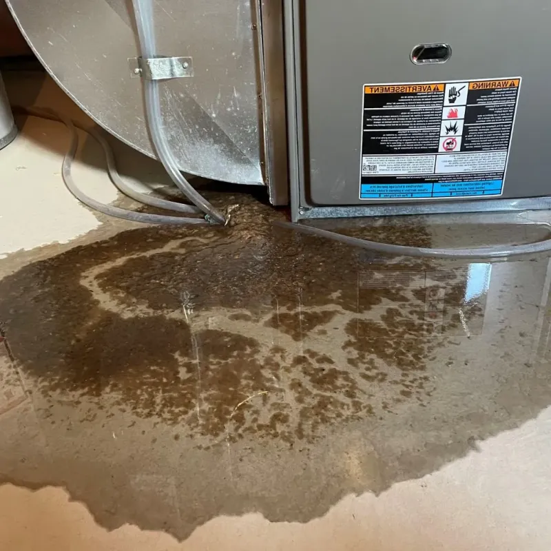 Pipe Burst and Leak Restoration in Palmyra, ME